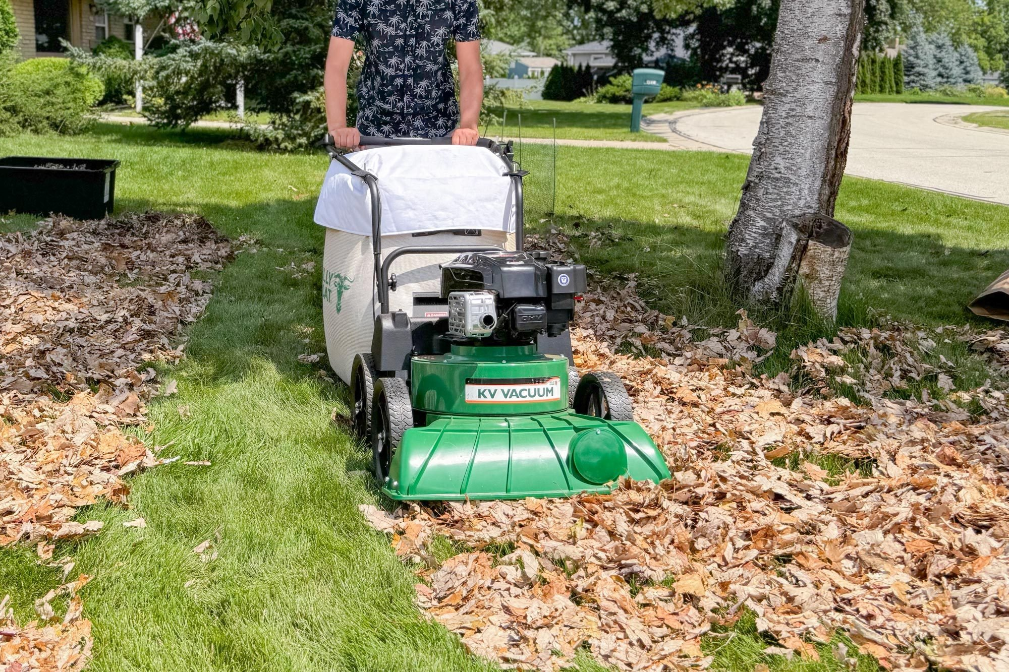 Cleanup equipment for leaf and debris removal